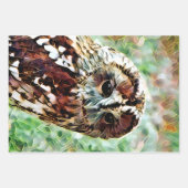 フクロウ ラッピングペーパーシート (正面)