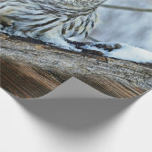 フクロウ ラッピングペーパー (角)