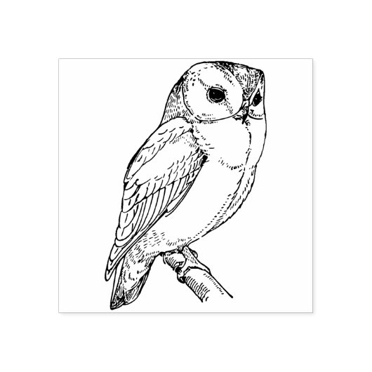 フクロウ ラバースタンプ (インプリント)