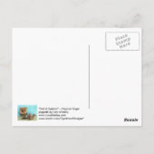 フクロウ&リス ポストカード (裏面)