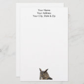 フクロウ 便箋 (正面/裏面)