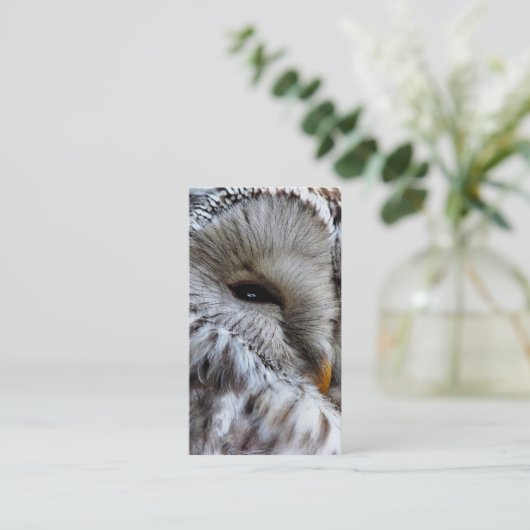 フクロウ 名刺 (スタンド正面)