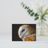 フクロウ 名刺 (スタンド正面)