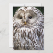 フクロウ 招待状 (正面)