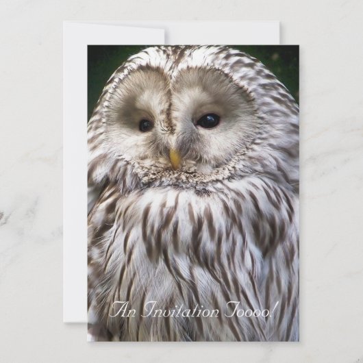 フクロウ 招待状 (正面)
