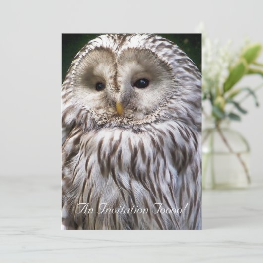 フクロウ 招待状 (スタンド正面)