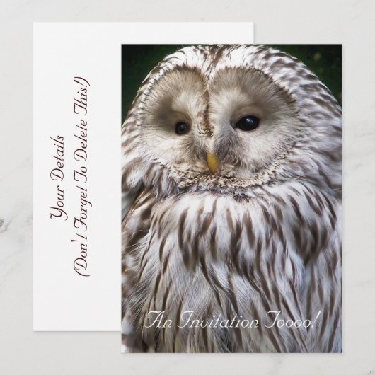フクロウ 招待状 (正面/裏面)