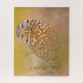 フクロウ – 猛禽類。 ジグソーパズル (縦)