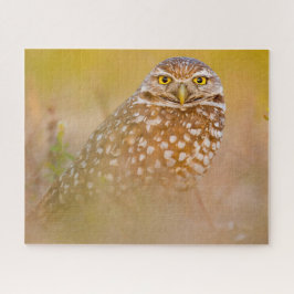 フクロウ – 猛禽類。 ジグソーパズル