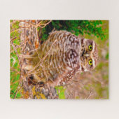 フクロウ – 猛禽類。 ジグソーパズル (横)