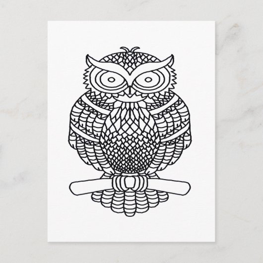 フクロウ（白） – はがき (正面)