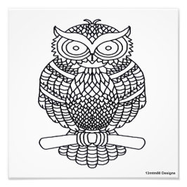 フクロウ(白)- 写真プリント フォトプリント
