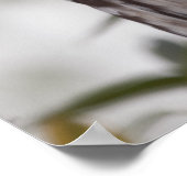 フクロウ（線虫） ポスター (角)