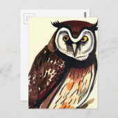 フクロウ – 自然アートカードポストカード ポストカード (正面/裏面)