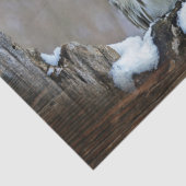 フクロウ 薄葉紙 (詳細)