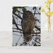 フクロウ、誕生日 カード (黄色い花)