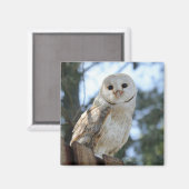 フクロウ 鳥 動物 羽根 自然 平和 愛 運命 マグネット (正面/裏面)