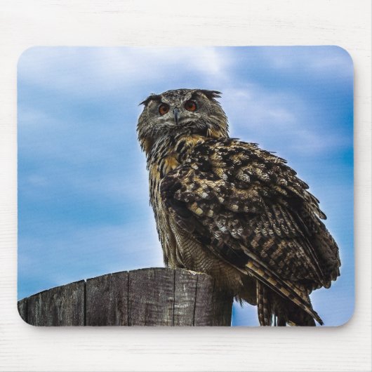 フクロウ 鳥 羽 毛 動物 自然 運命 平和 愛 マウスパッド (正面)