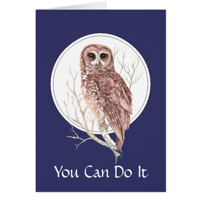 フクロウ、鳥、自然、野生生物の一日 (正面)