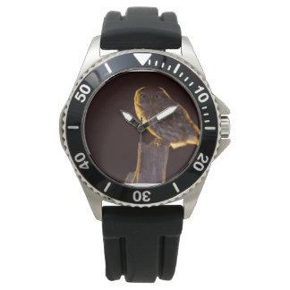 フクロウ， 11を参照 腕時計