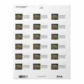 フクロウ(5) ラベル (フルシート)