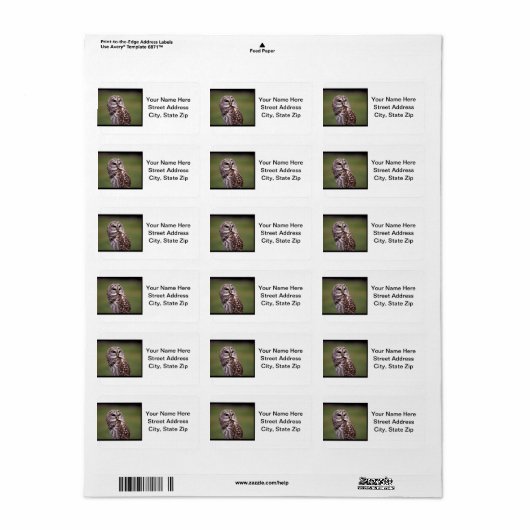 フクロウ(5) ラベル (フルシート)