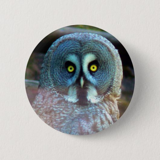 フクロウPin 缶バッジ (正面)
