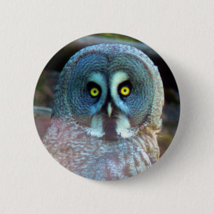 フクロウPin 缶バッジ