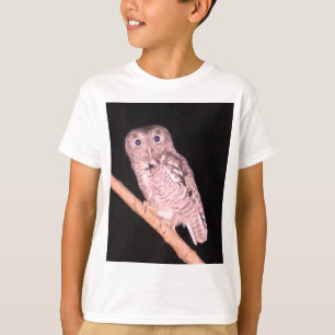 フクロウTシャツ Tシャツ