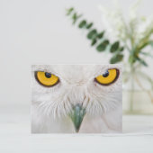 フクロフクロウ ポストカード (スタンド正面)