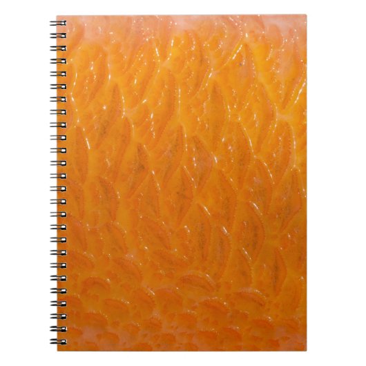 フグの皮 ノートブック (正面)