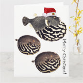 フグの魚のサンタのメリークリスマス! カード (黄色い花)