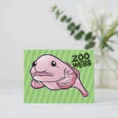 フグ ポストカード (スタンド正面)