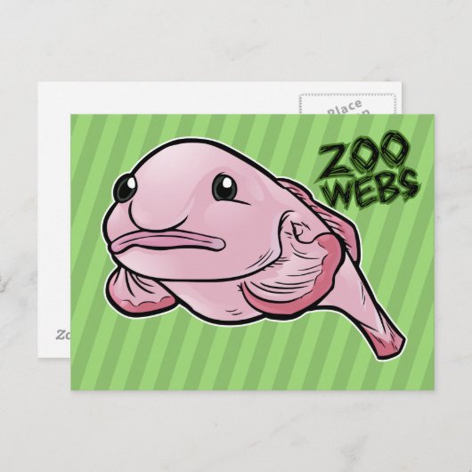 フグ ポストカード (正面/裏面)