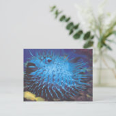 フグ ポストカード (スタンド正面)