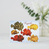 フグ ポストカード (スタンド正面)