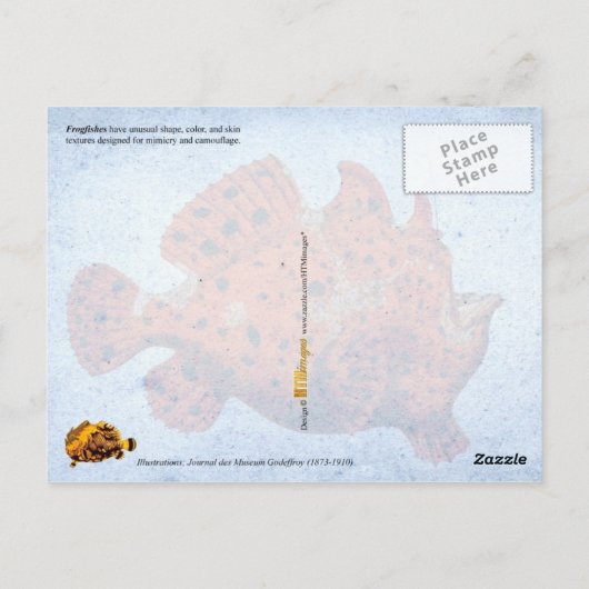 フグ ポストカード (裏面)