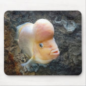 フグ マウスパッド (正面)