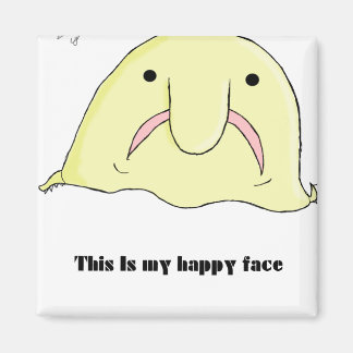 フグ マグネット