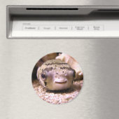 フグ マグネット (インサイチュ (食洗機))