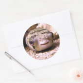 フグ ラウンドシール (封筒)