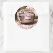 フグ ラウンドシール (バッグ)