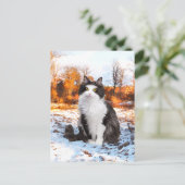 「フザー」ポストカード ポストカード (スタンド正面)