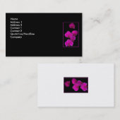 フシア·ラン 名刺 (正面/裏面)