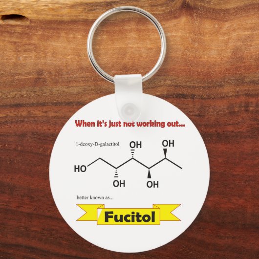 フシトールオーガニック分子 キーホルダー (正面)
