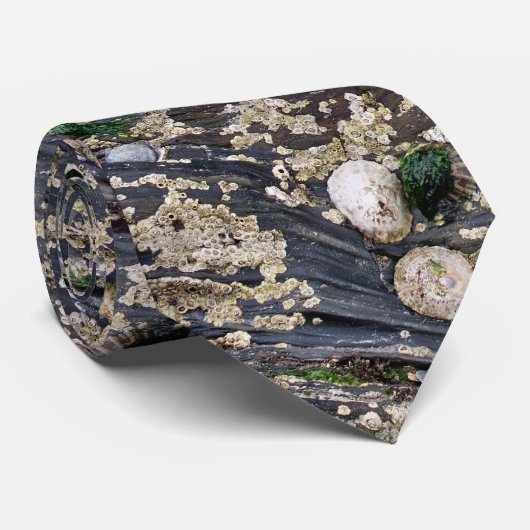 フジツボのタイ ネクタイ (ロール)