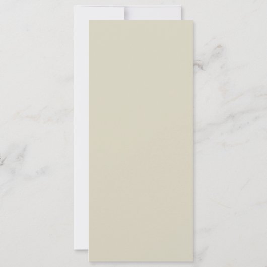 フジツボの小枝。 (裏面)