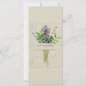 フジツボの小枝。 (正面)