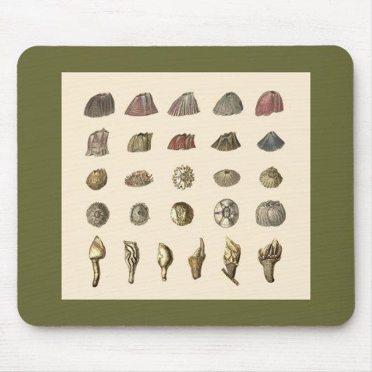 フジツボのmousepad マウスパッド (正面)