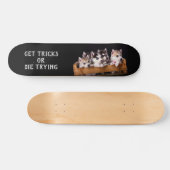 フスキは木箱に入れてトリックを取るか、試して死ぬ スケートボード (横)